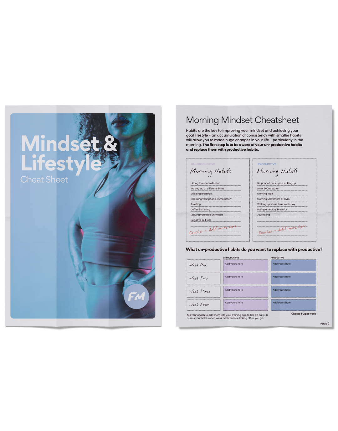 Training, Nutrition, Mindset & Lifestyle Cheat Sheets